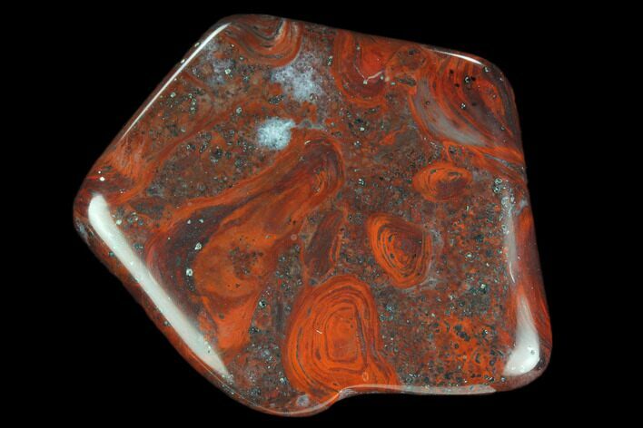 Polished Stromatolite (Collenia) - Minnesota #126076